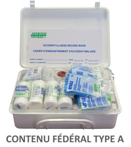 Type A federal first aid kit in plastic case (2 to 5 workers).