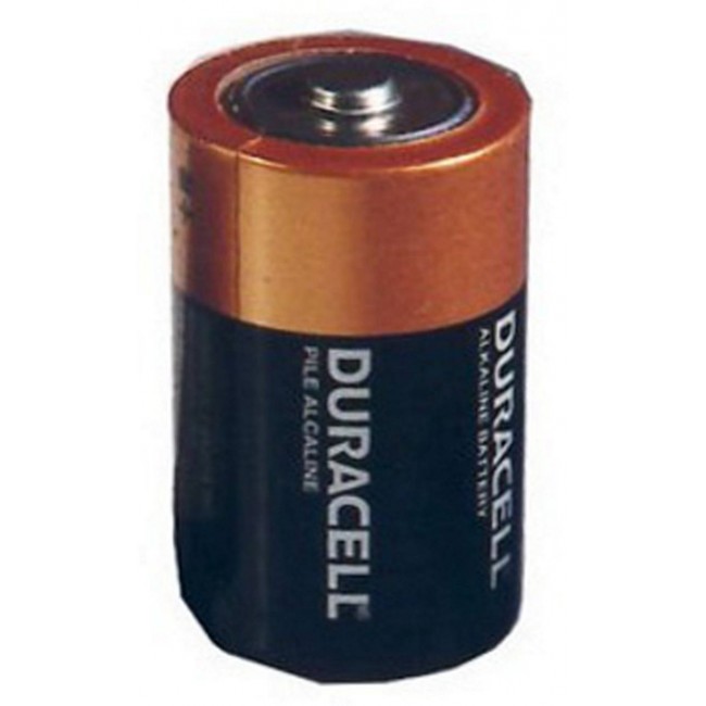 Batterie alcaline D 1.5 V