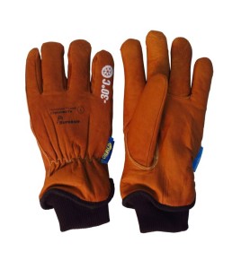 Endura® winter WaterStop™/Oilbloc™ goat leather gloves lined with double weight Thinsulate™ liner. Size: XS-XXXL. Sold in pairs.