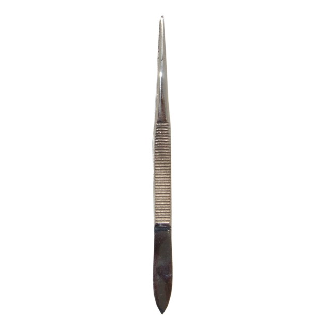 Simple splinter tweezers, 3 1/2 in (8.9 cm).