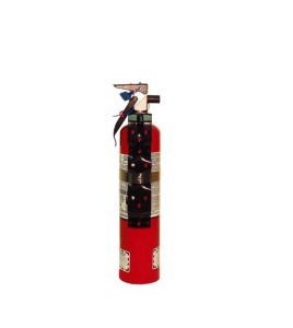 Portable fire extinguisher with powder, 2.5 lbs type ABC, ULC 1A-10BC, with vehicle hook.