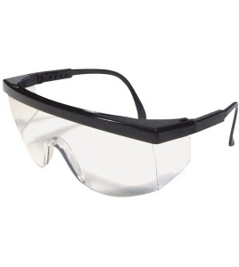 Lunette de sécurité Ferno de Dentec safety lentille de polycarbonate clair conforme CSA